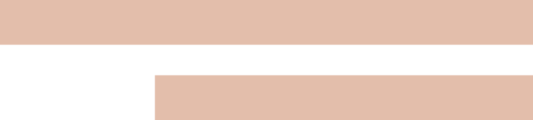 terra cotta thin lines.png