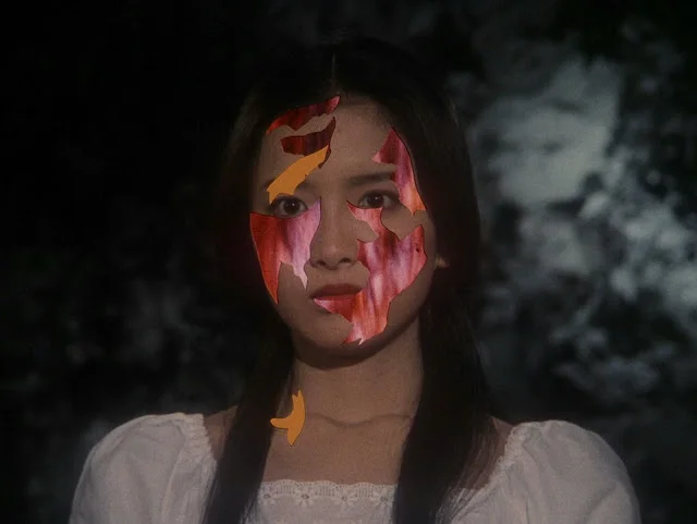 hausu.jpeg