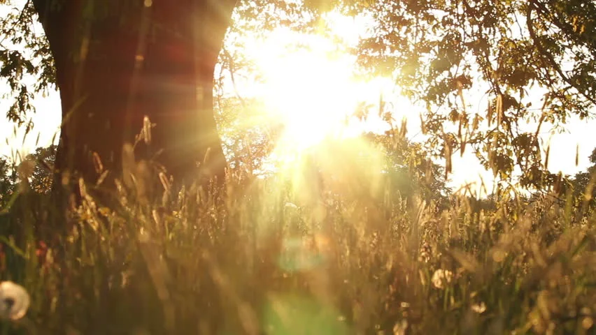 sunlight.jpg