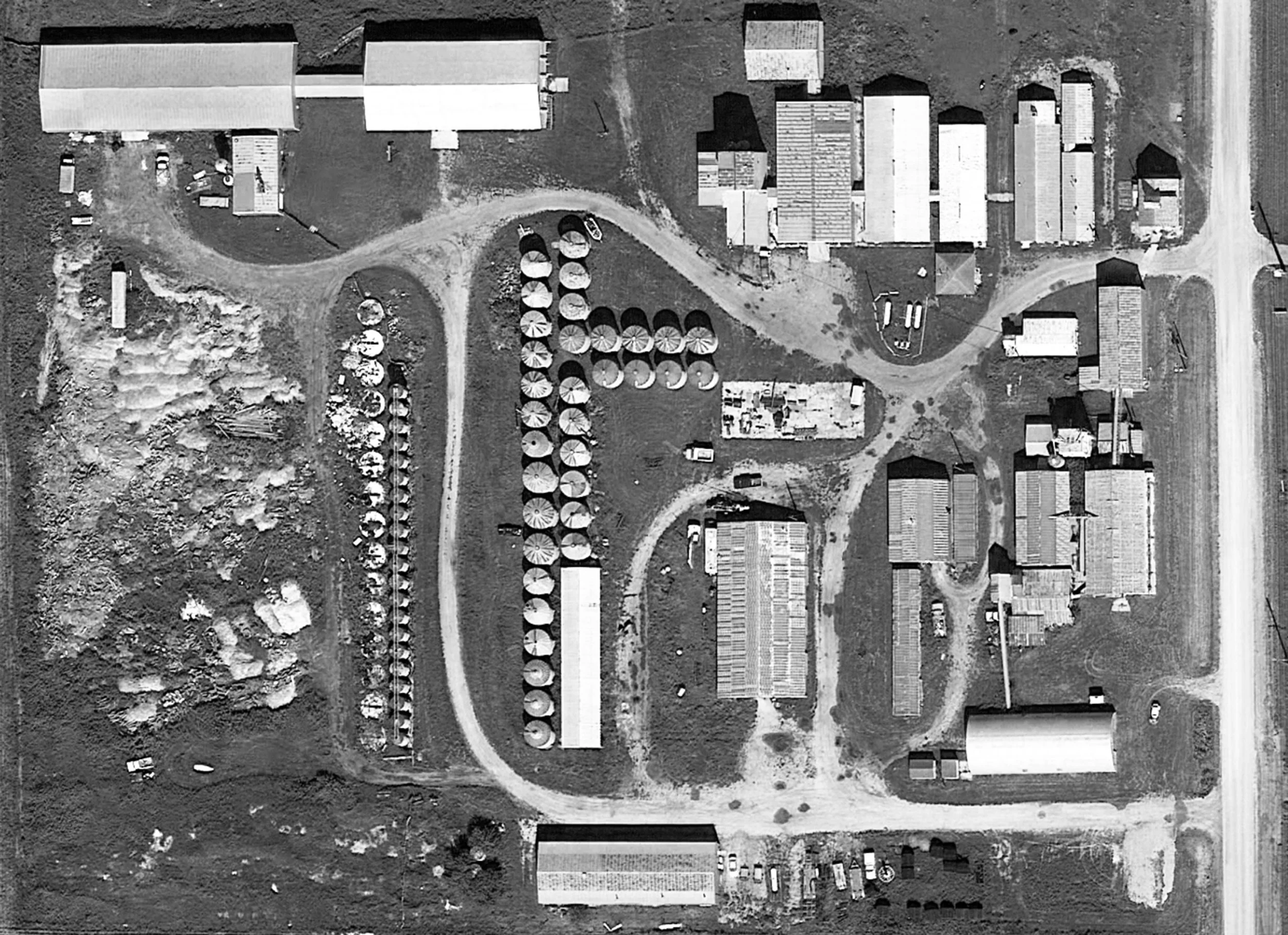 Black's Heritage Seed Farm 