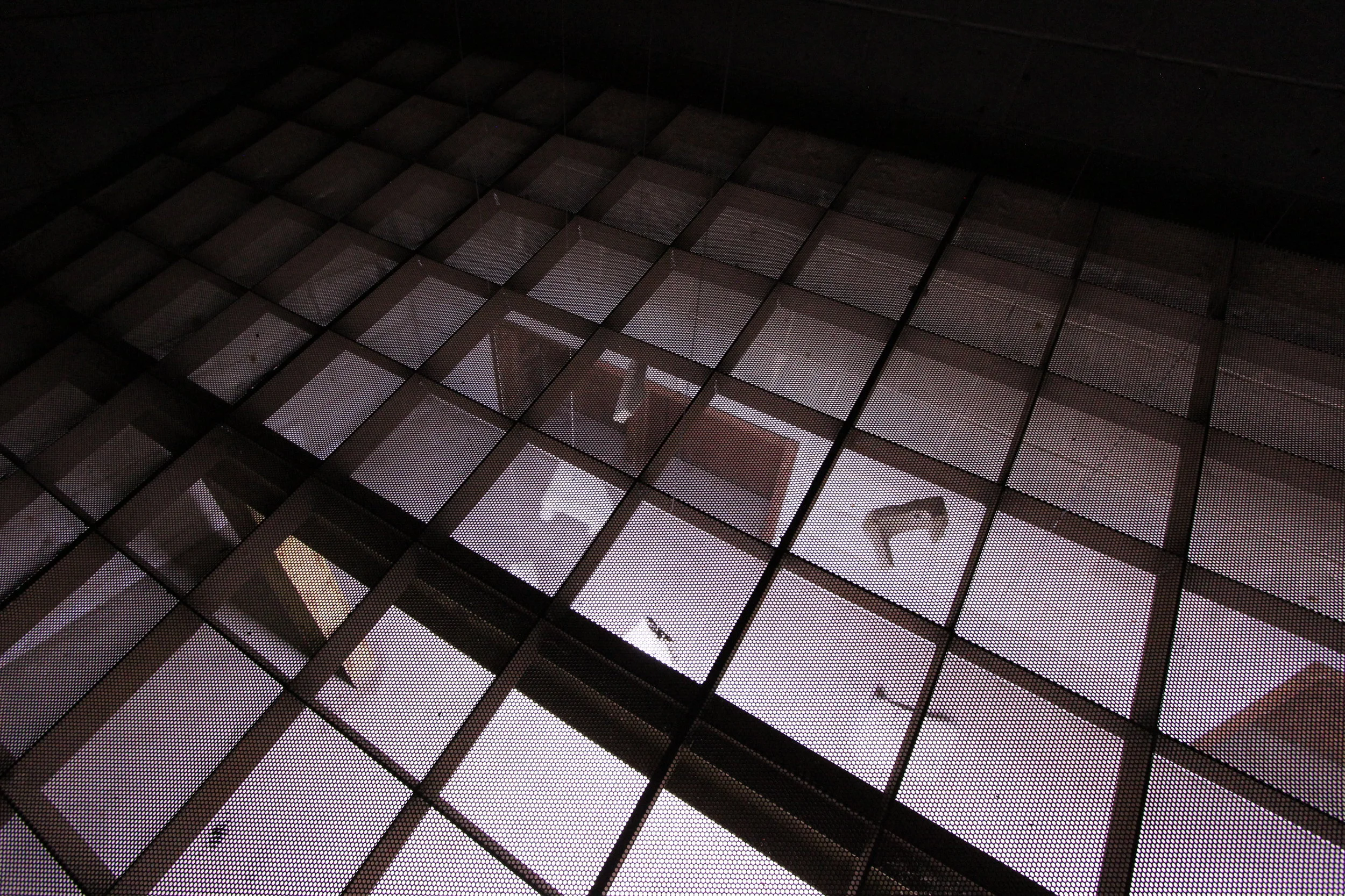 Dormant Consilience 01.JPG