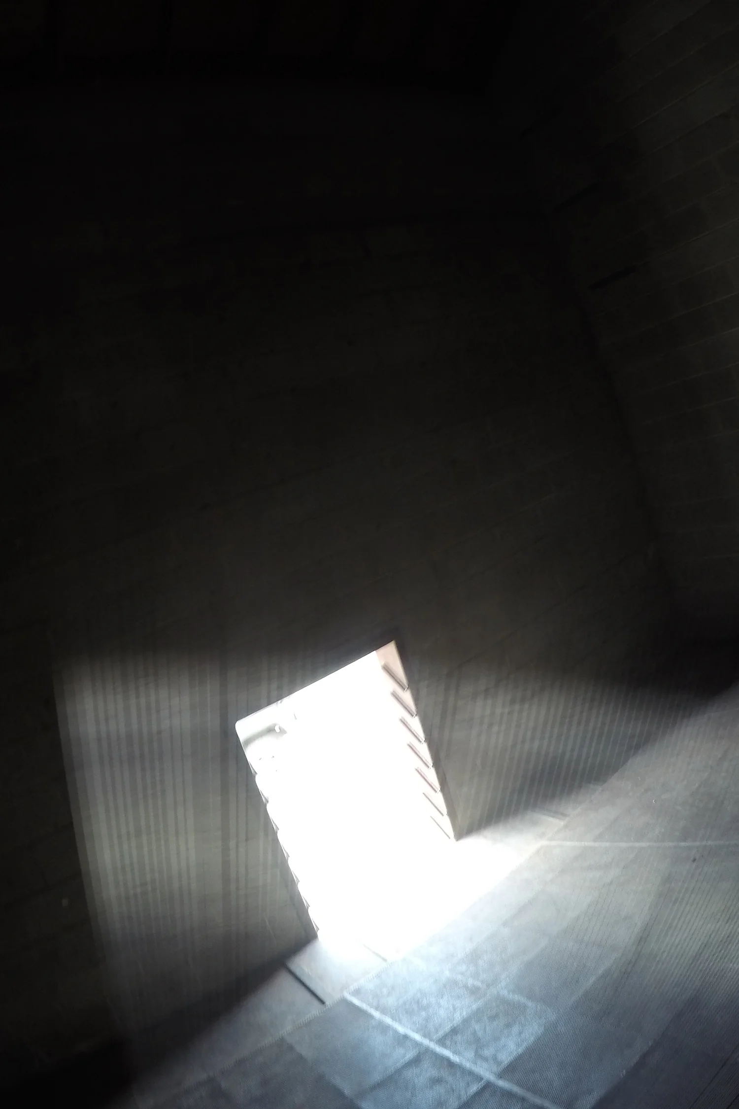 06.jpg