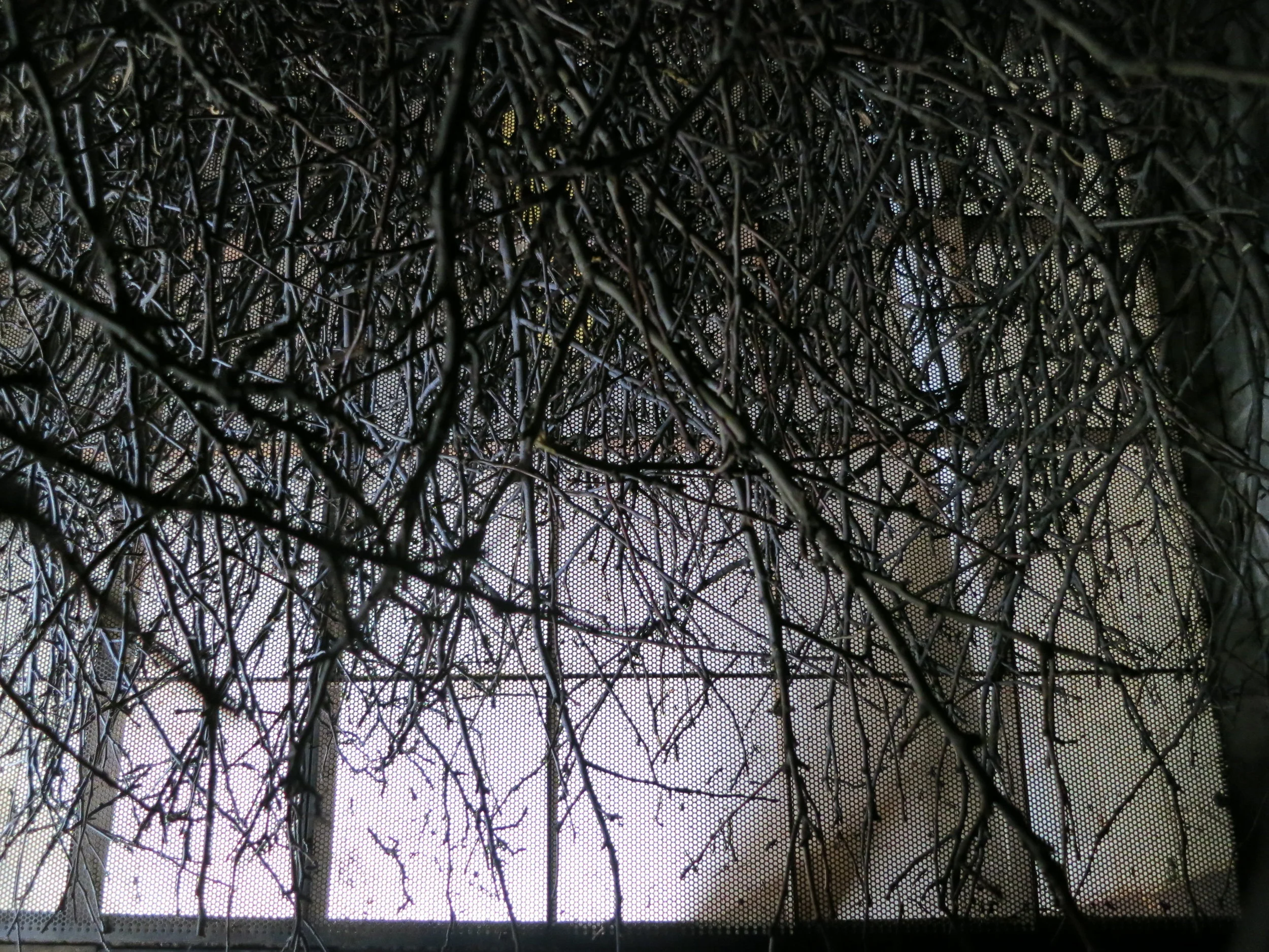  By adding material to the bin and reconfiguring some of its components, the project explores how architectural elements might invite a sequence of actions. A folded steel plate cantilevers out from the belt to become a stair, its first tread resting