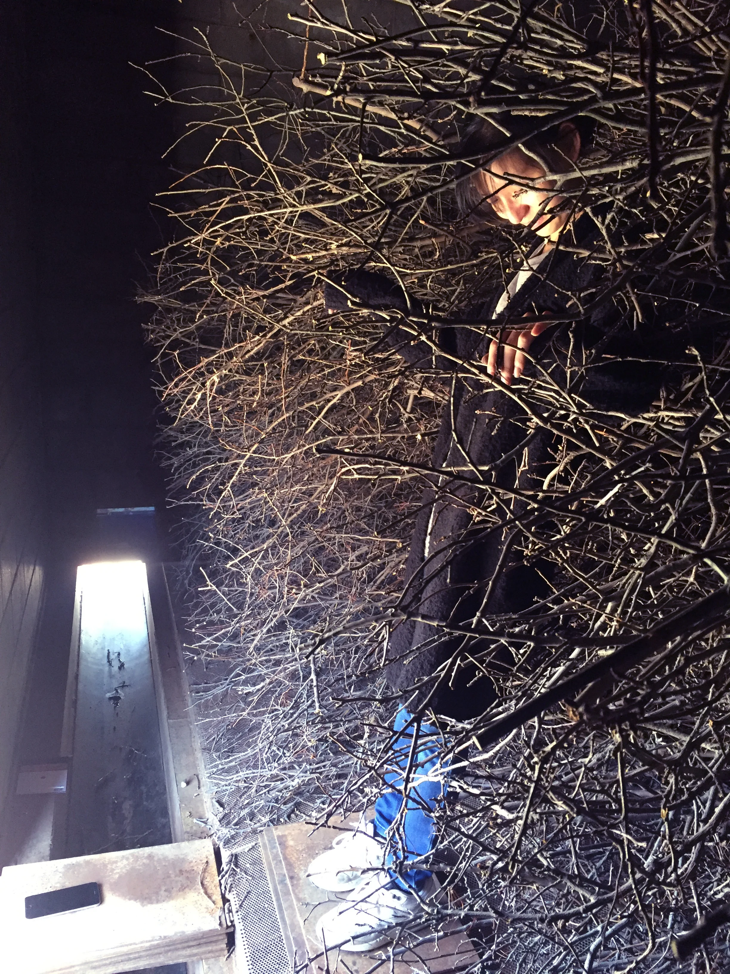  An orchard - a space of agricultural production - provided our material. The installation is composed of trimmings that were discarded in order to bring about new growth.  The pruned branches are assembled within the bin to create a hedge. The chaot