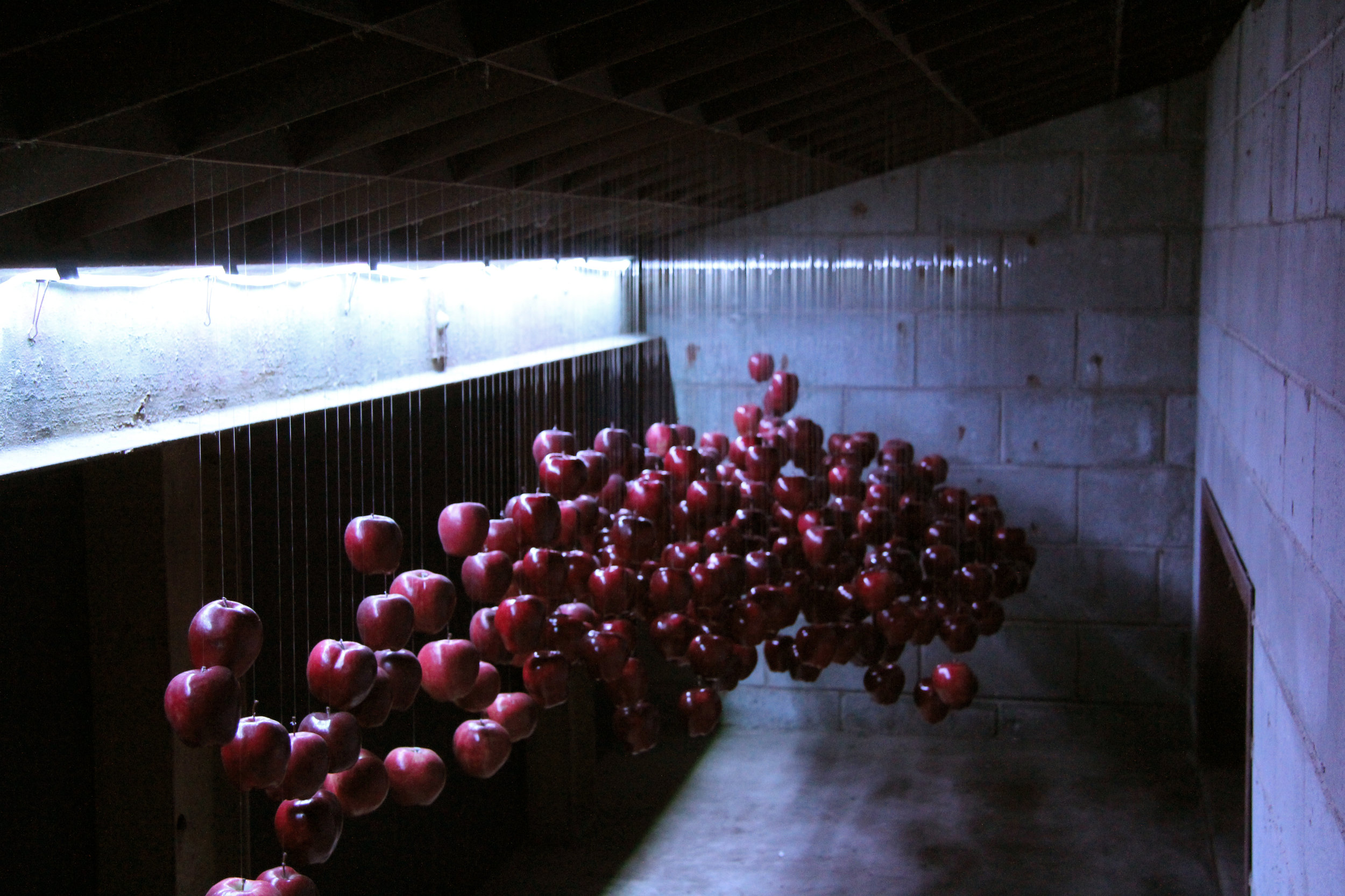 Experience The installation makes a series of experiences conscious through human movement. When one enters, the distinctive spatial qualities cause the senses to be heightened and perceptions challenged. The spectator is influenced to maneuver i