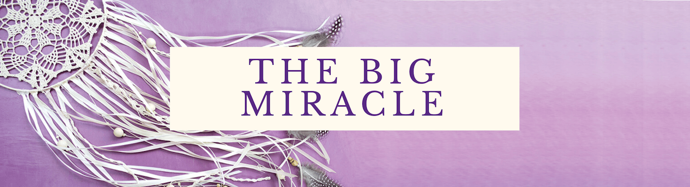 The Big Miracle.png