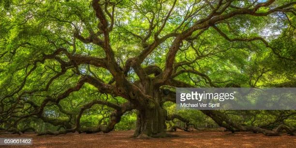 WHAT AND WHO IS BEING PUT OUT THERE?