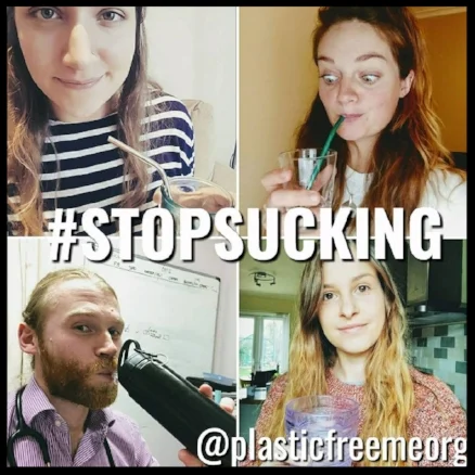 stopsucking.jpg