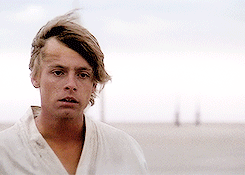 luke leaves.gif