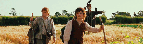 frodo.gif