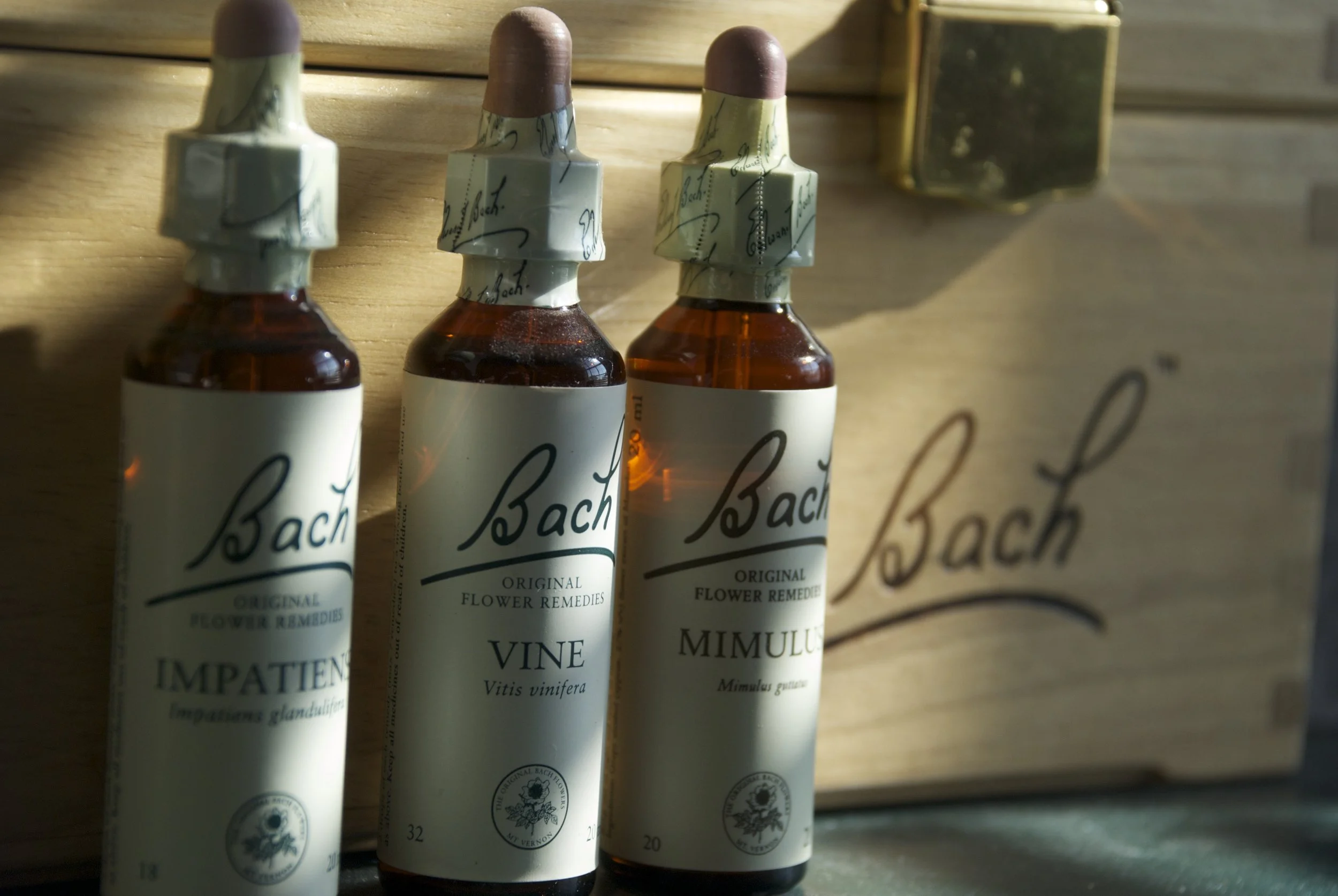 Bach-Flower-remedies.jpg
