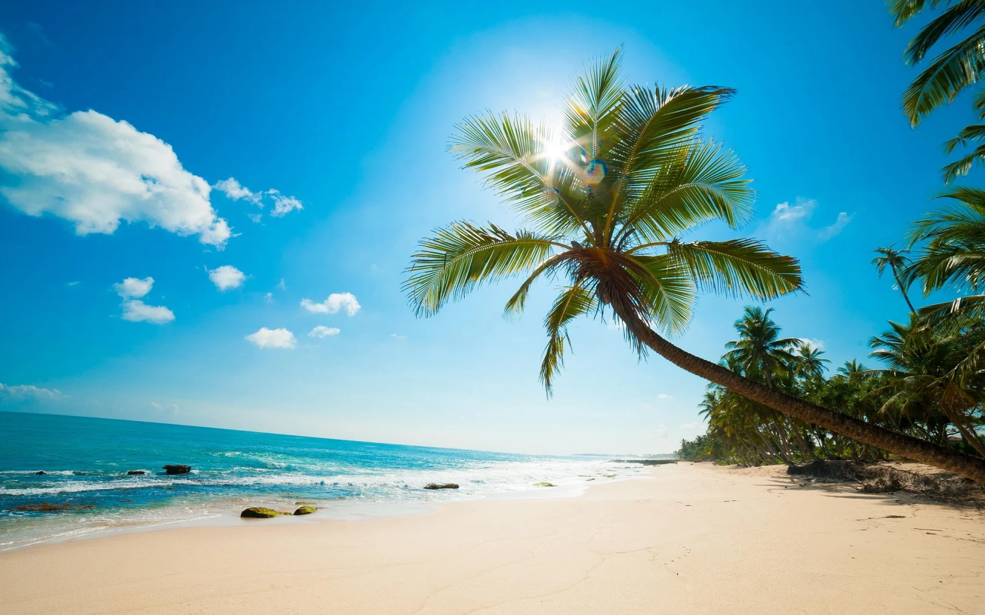 Caribbean-Backgrounds-13.jpg