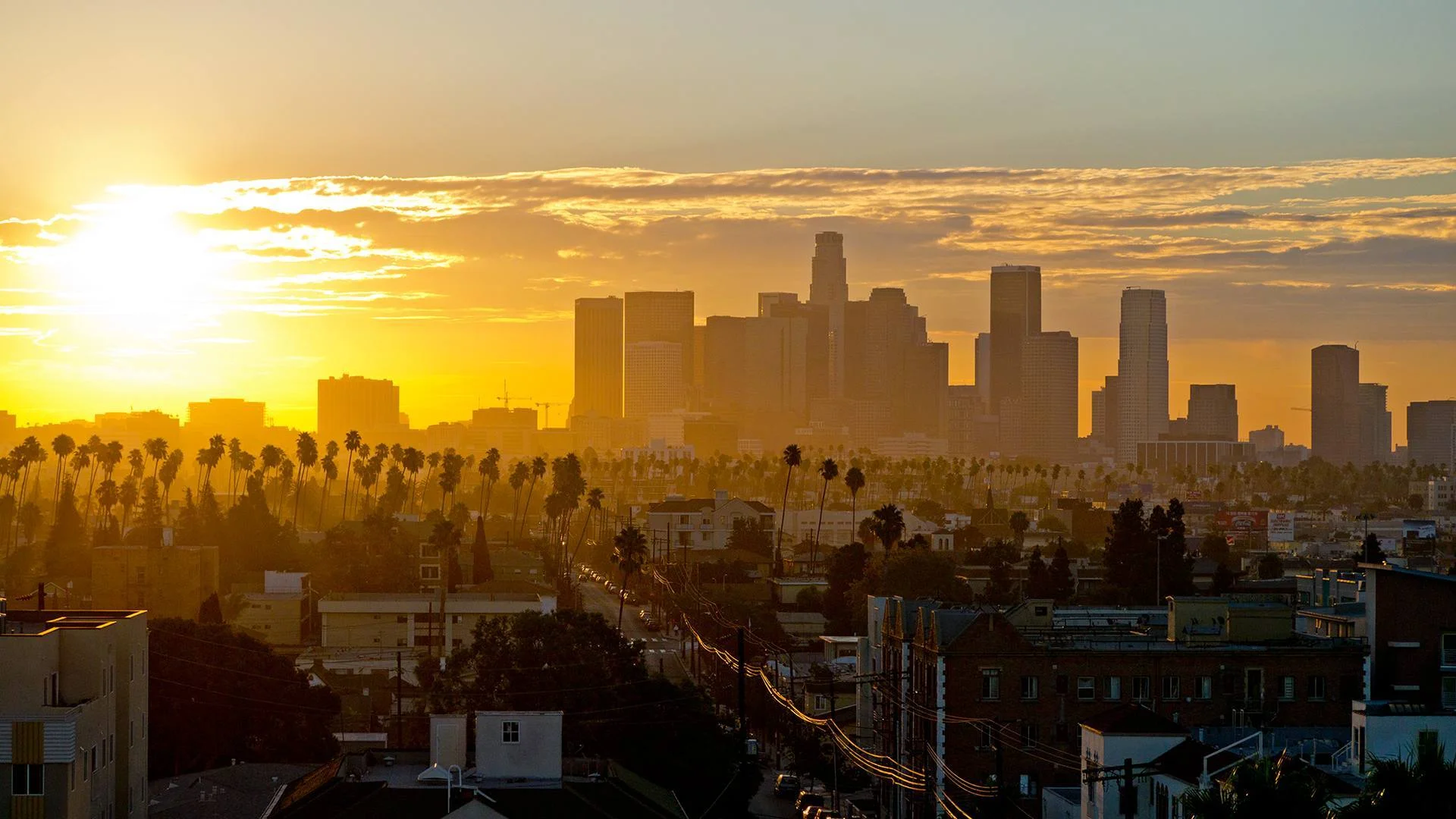 Los Angels 1.jpg