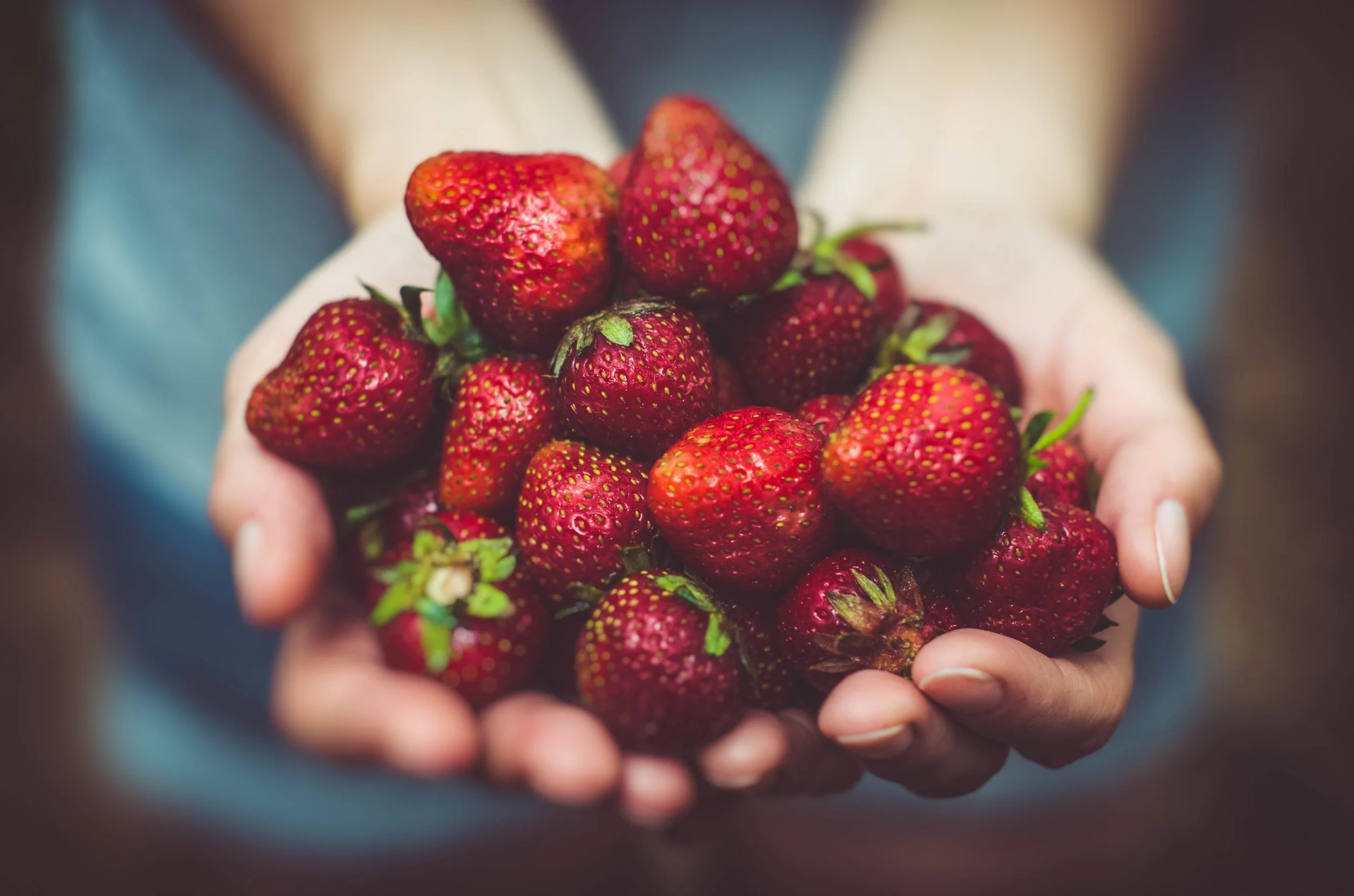fresas.jpg
