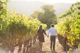 Meet the Wine Maker! Saturday Sips with Dogwood & Thistle