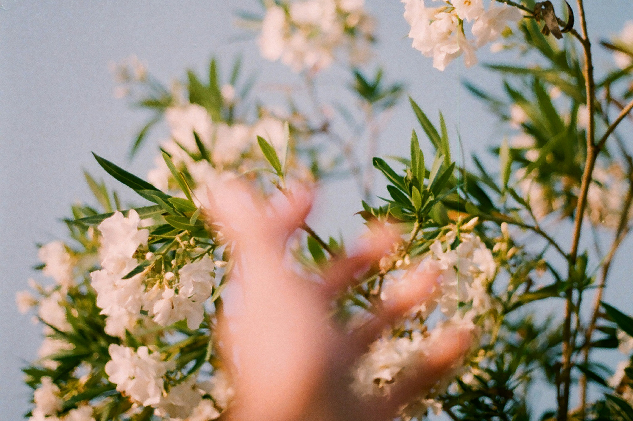 An Unhurried Start | Free Zoom Webinar