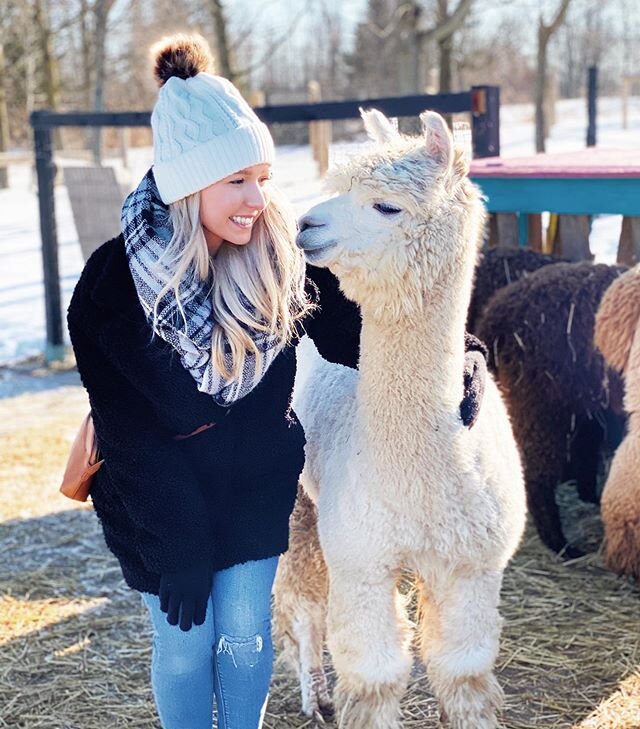 They said alpacas like to be close to their friends... I think we&rsquo;re officially friends☺️