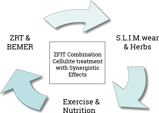 wellness_diagram1.jpg