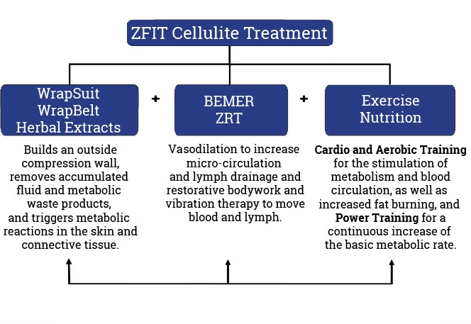 wellness_diagram2.jpg
