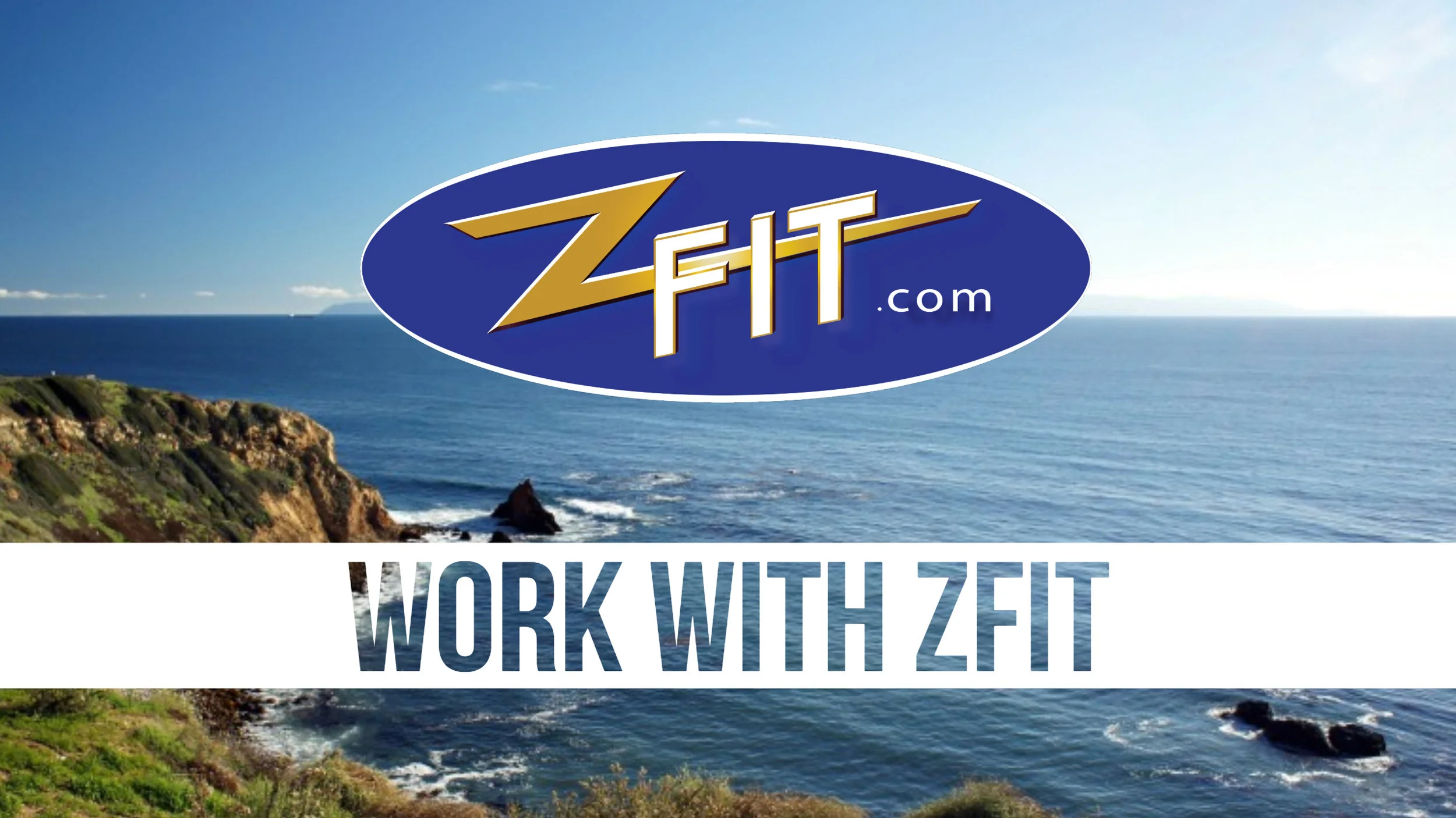 ZFIT Business Opportunity.jpg