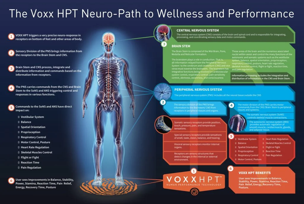 neuro-path-graphic-1024x688.jpg