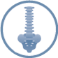 BACK PAIN