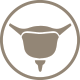 pelvic-floor_1.png