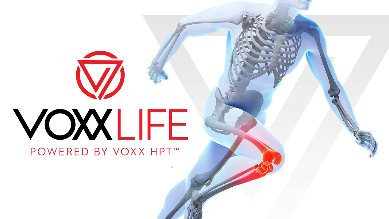 voxxlife.jpg