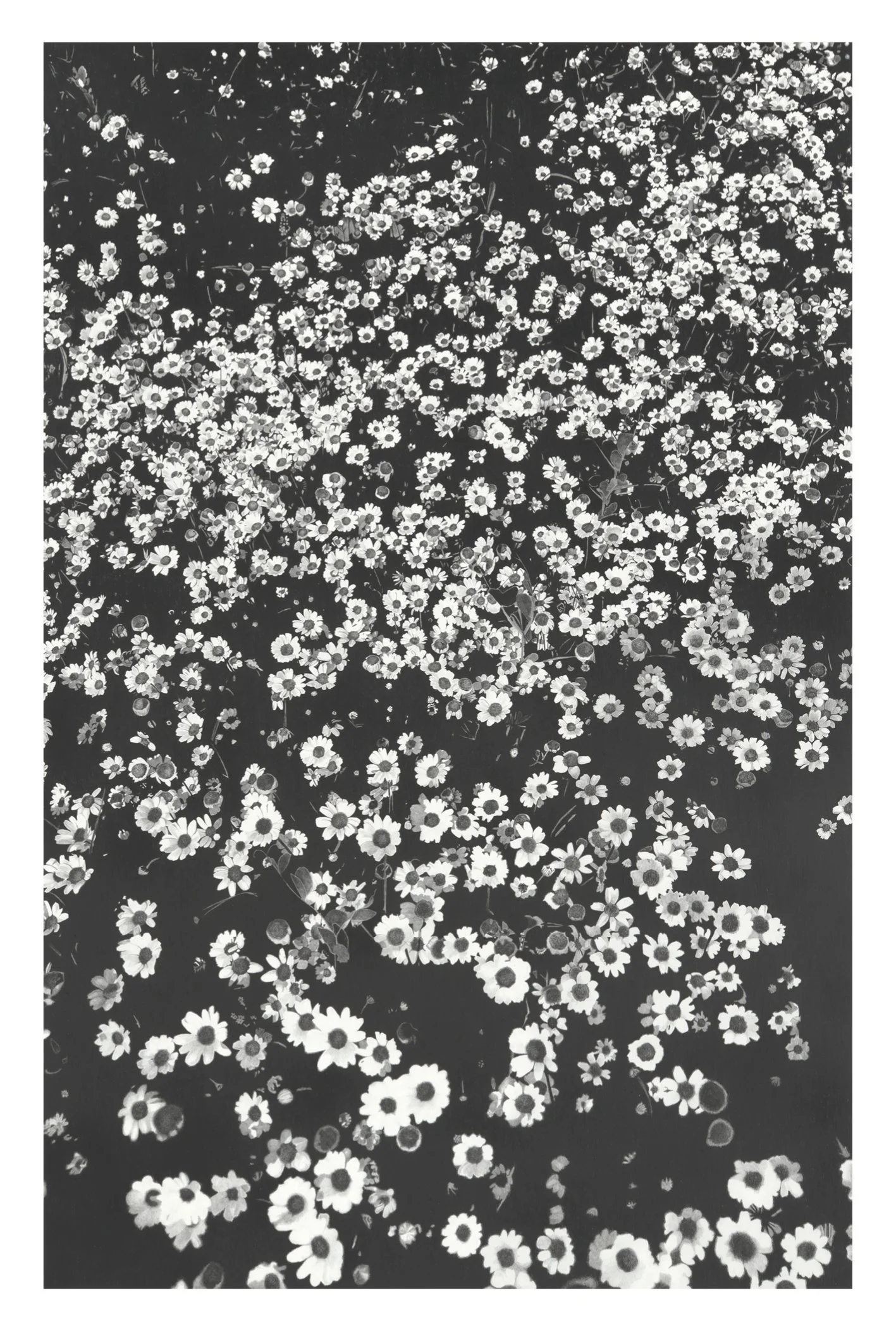 website prints-sm.jpg