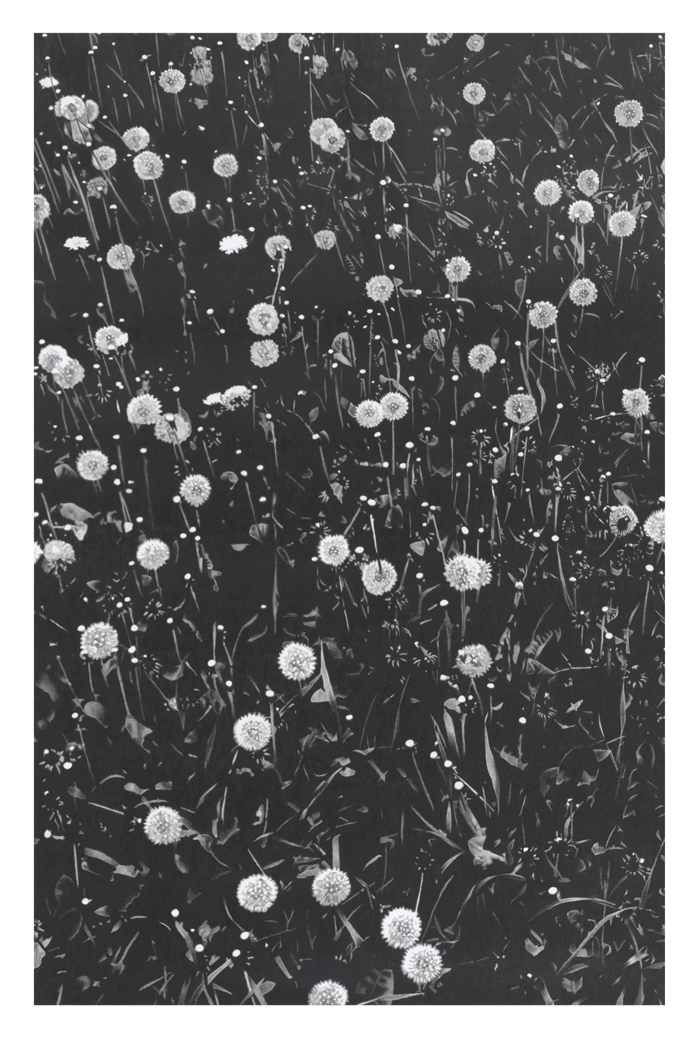 website prints-sm2.jpg