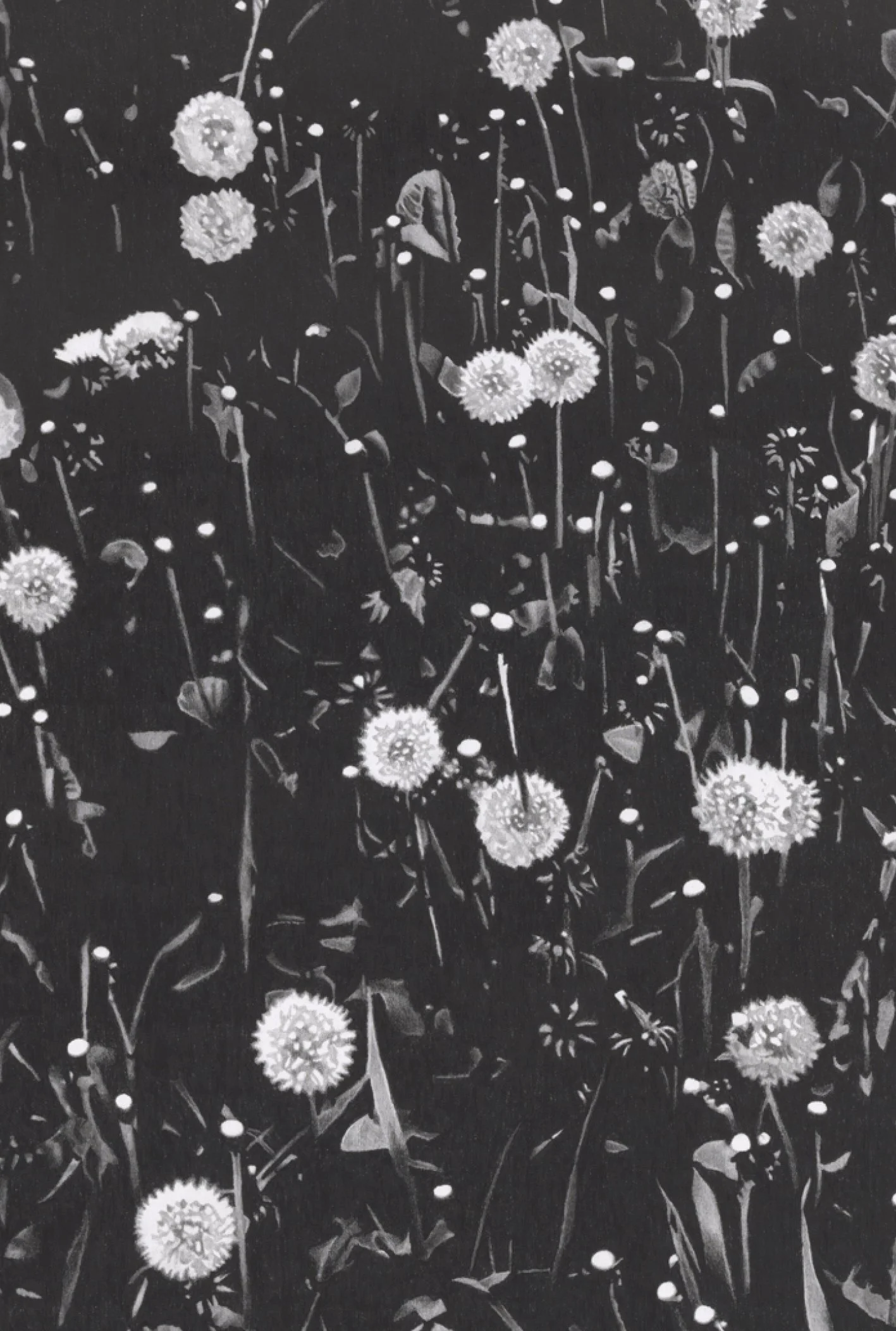 website prints-sm5.jpg