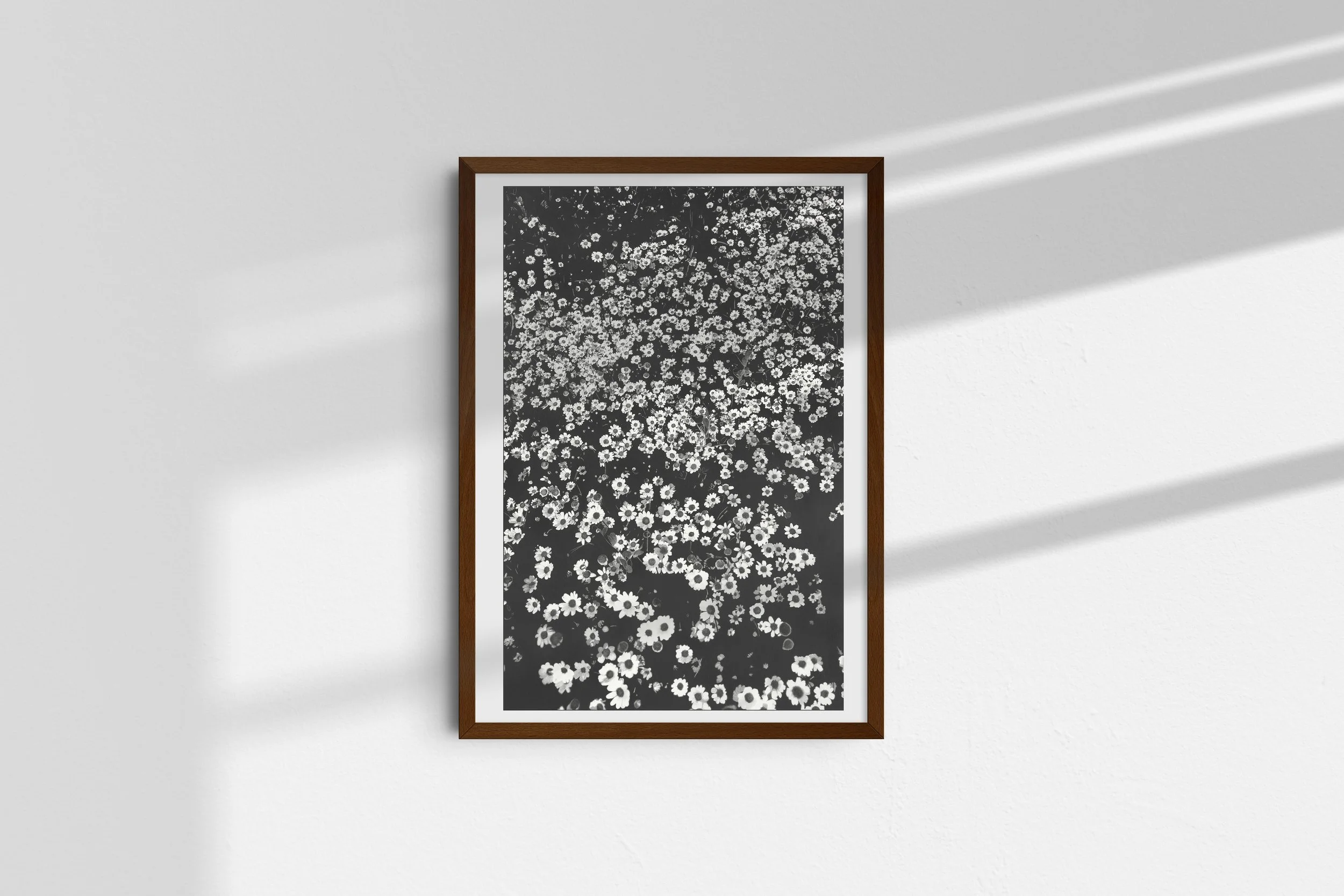 Helios-print-framed.jpg