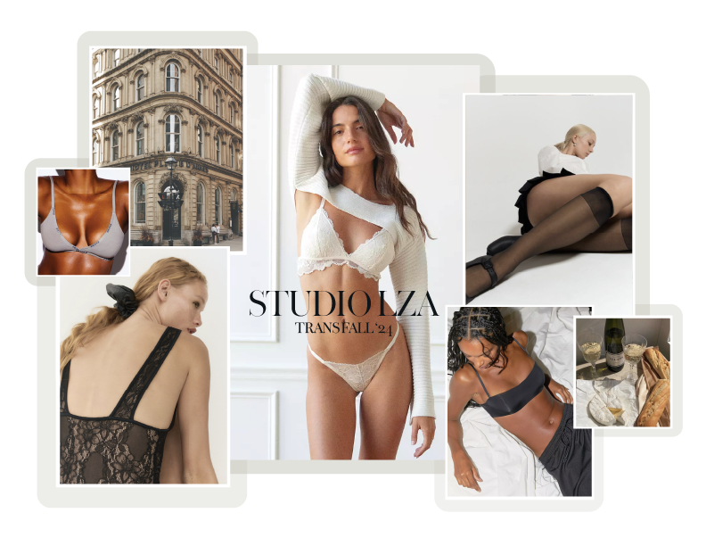 Trans Fall Concept Updated-02.png