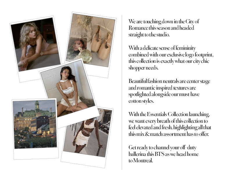 Trans Fall Concept Updated-04.png