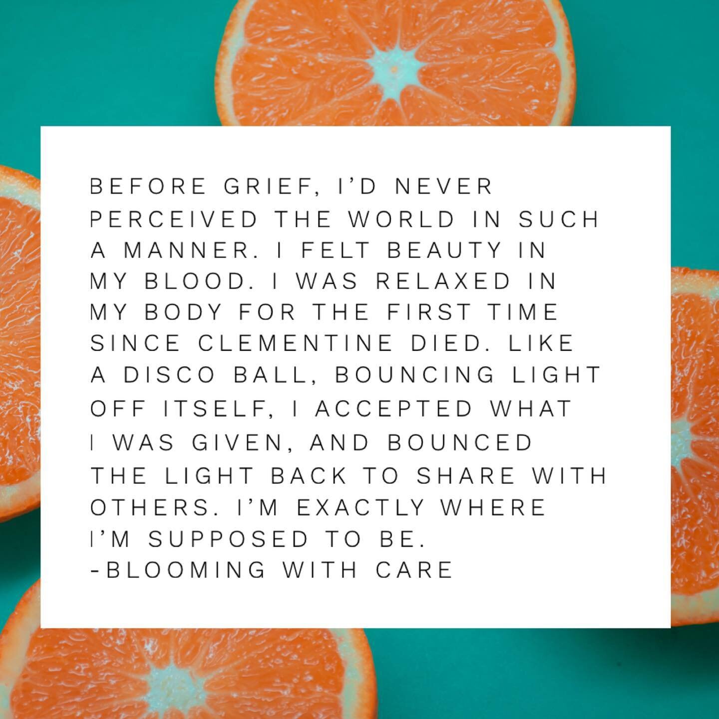 Writing about a trip to The Grand Canyon, two months after Clementine died.

I had a visceral response to seeing the sunrise that day. Nature reminded me that it&rsquo;s all connected.

The love, the sparkles, the light, it&rsquo;s all Clementine.
🪩