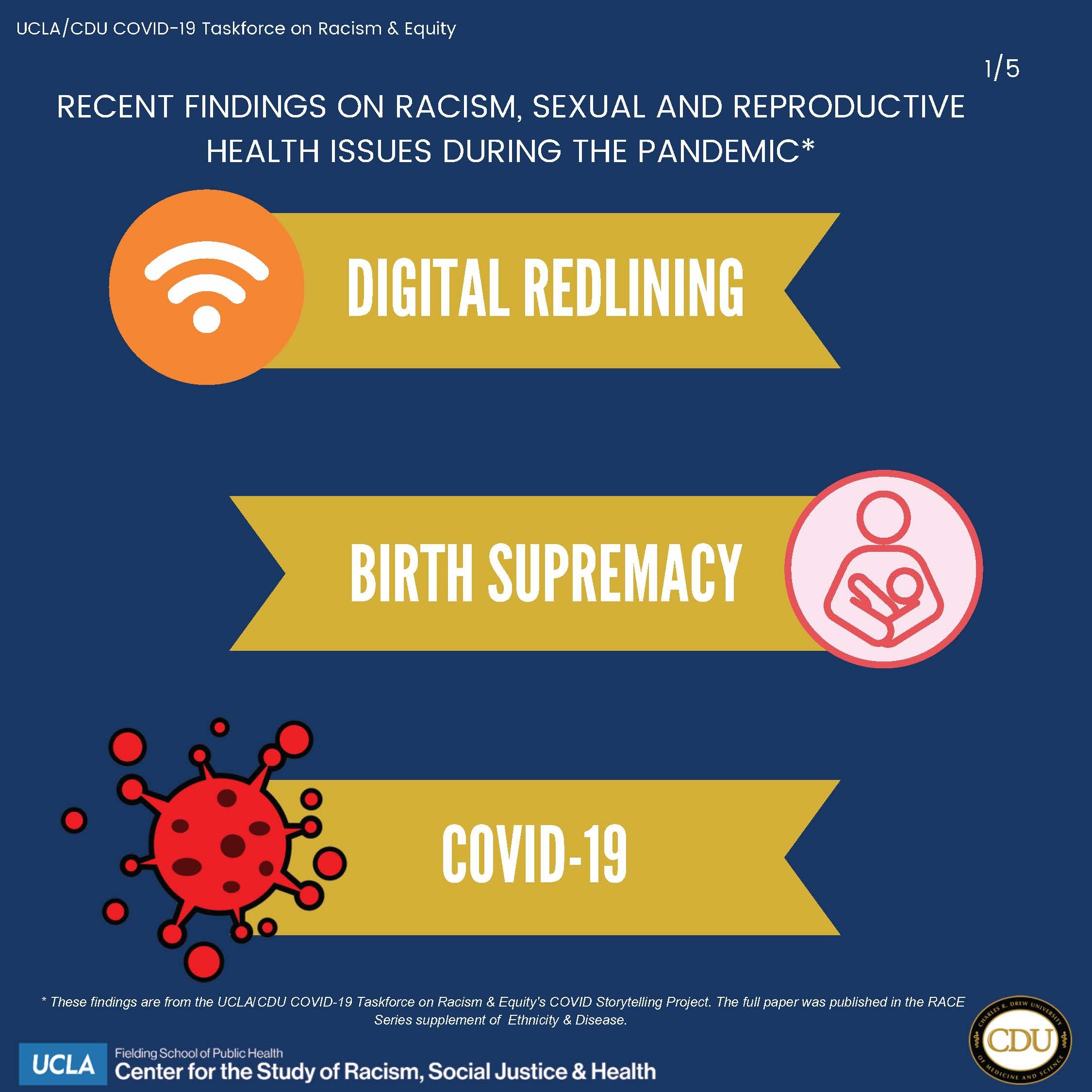 Recent findings on Racism, Sexual and reproductive health issues during the pandemic_Page_1.jpg