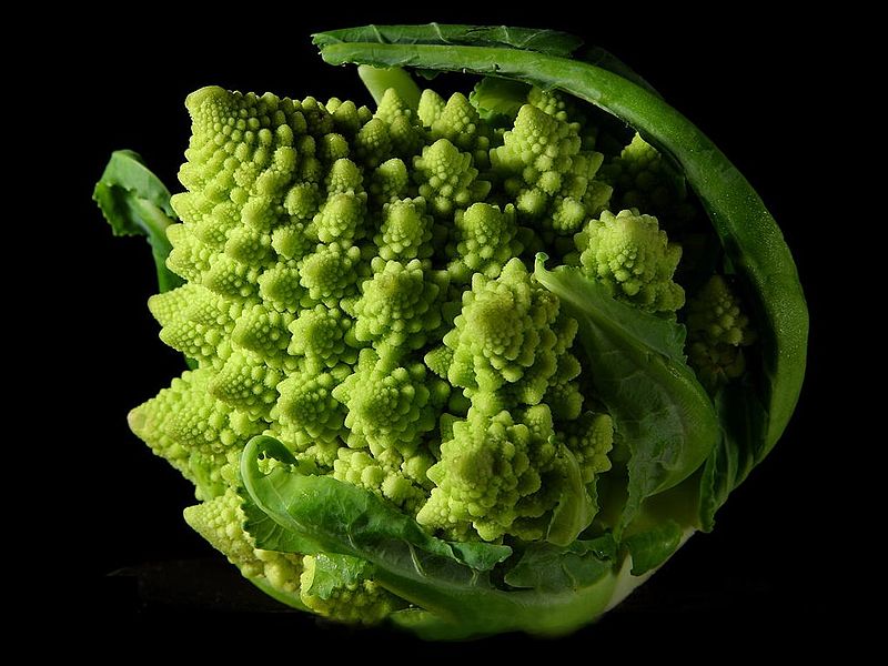 cauliflower.jpg