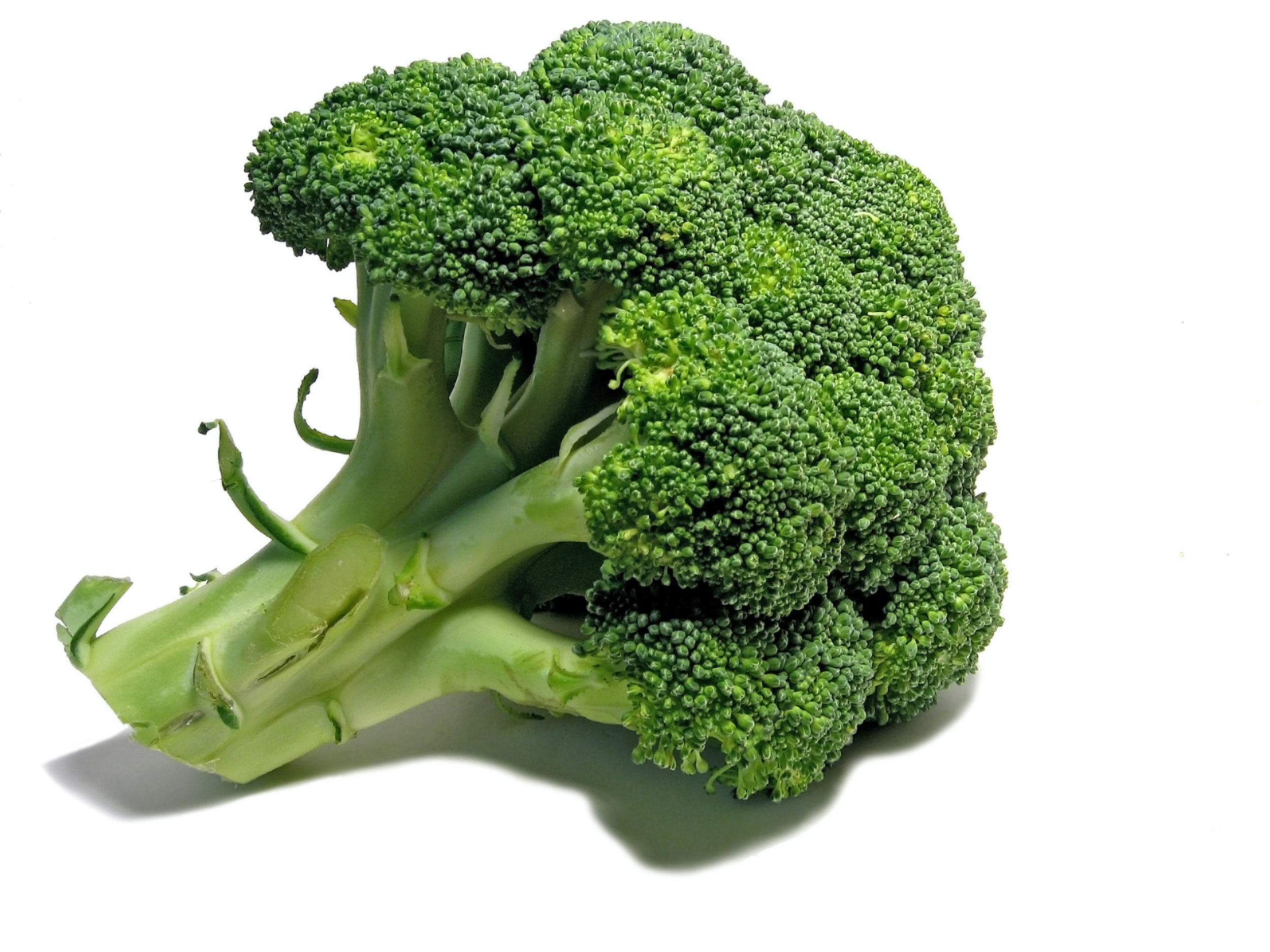 Broccoli.jpg