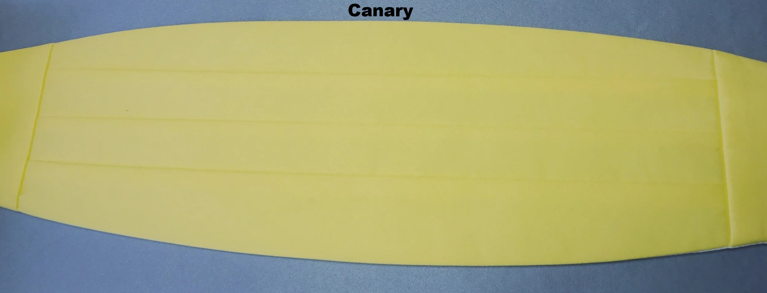 61_Canary