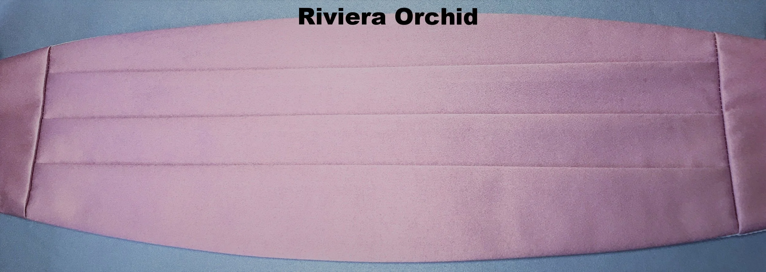 16_Riviera Orchid