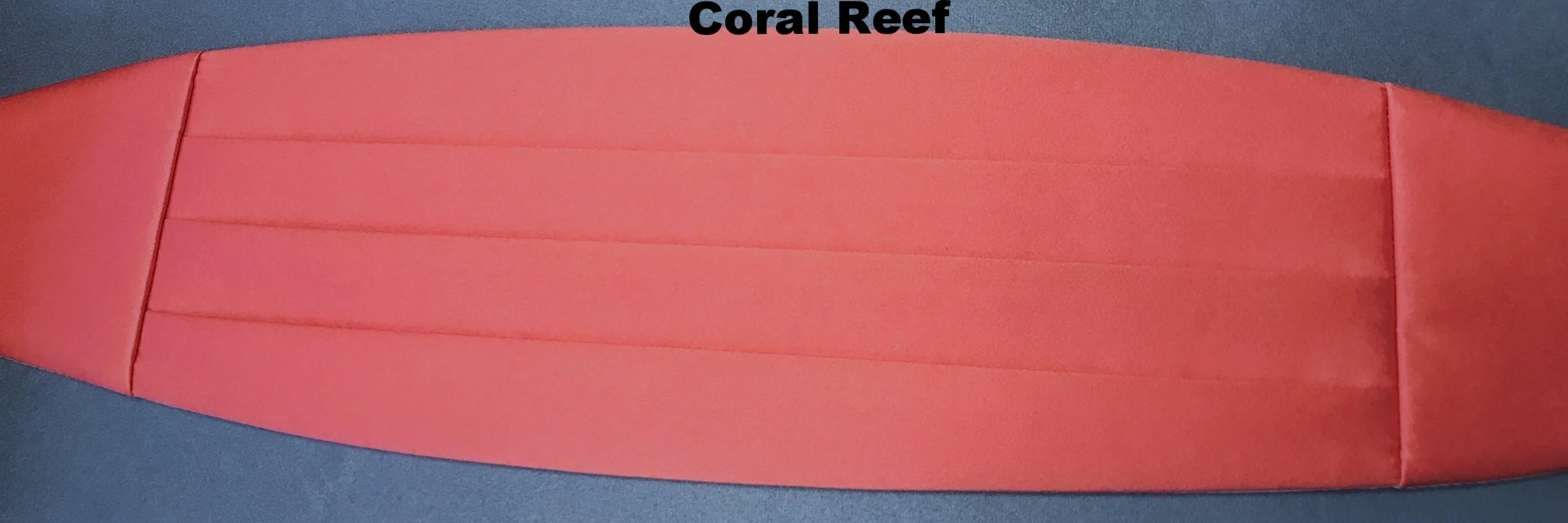 24_Coral Reef