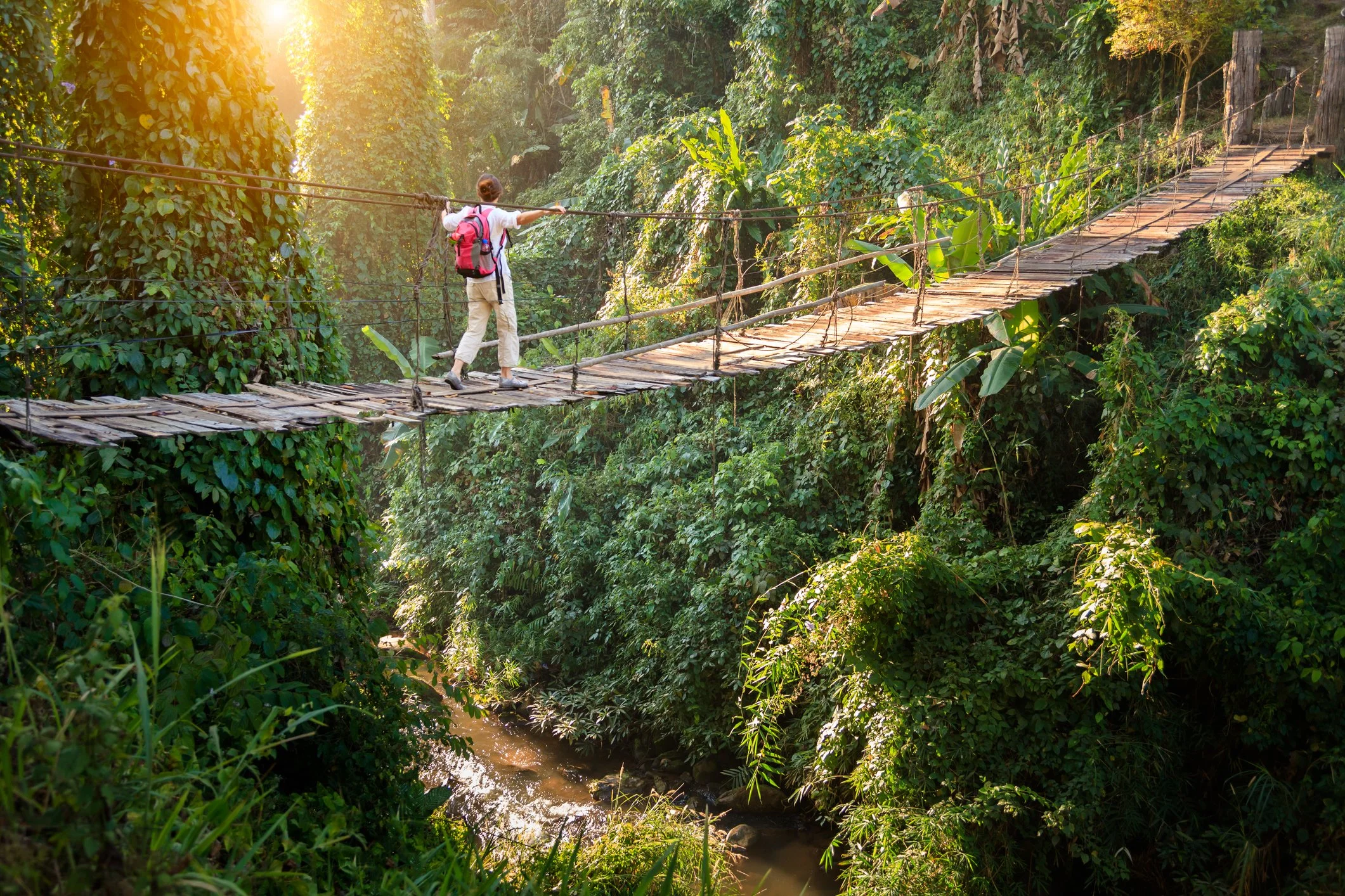 Eco Tourism Activities Exploring Eco Tourism Principles Benefits 