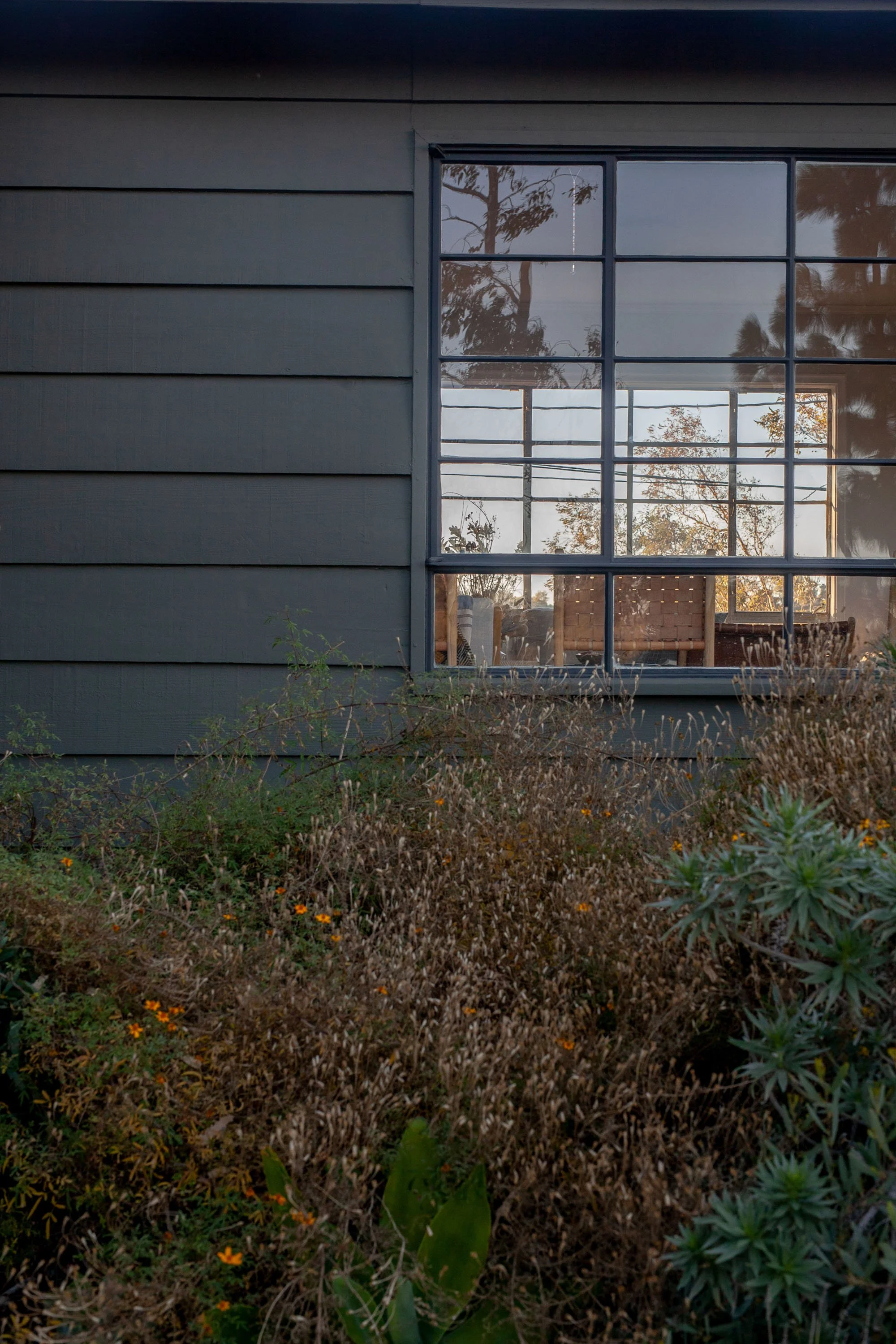 Airbnb Wellness Host Trends