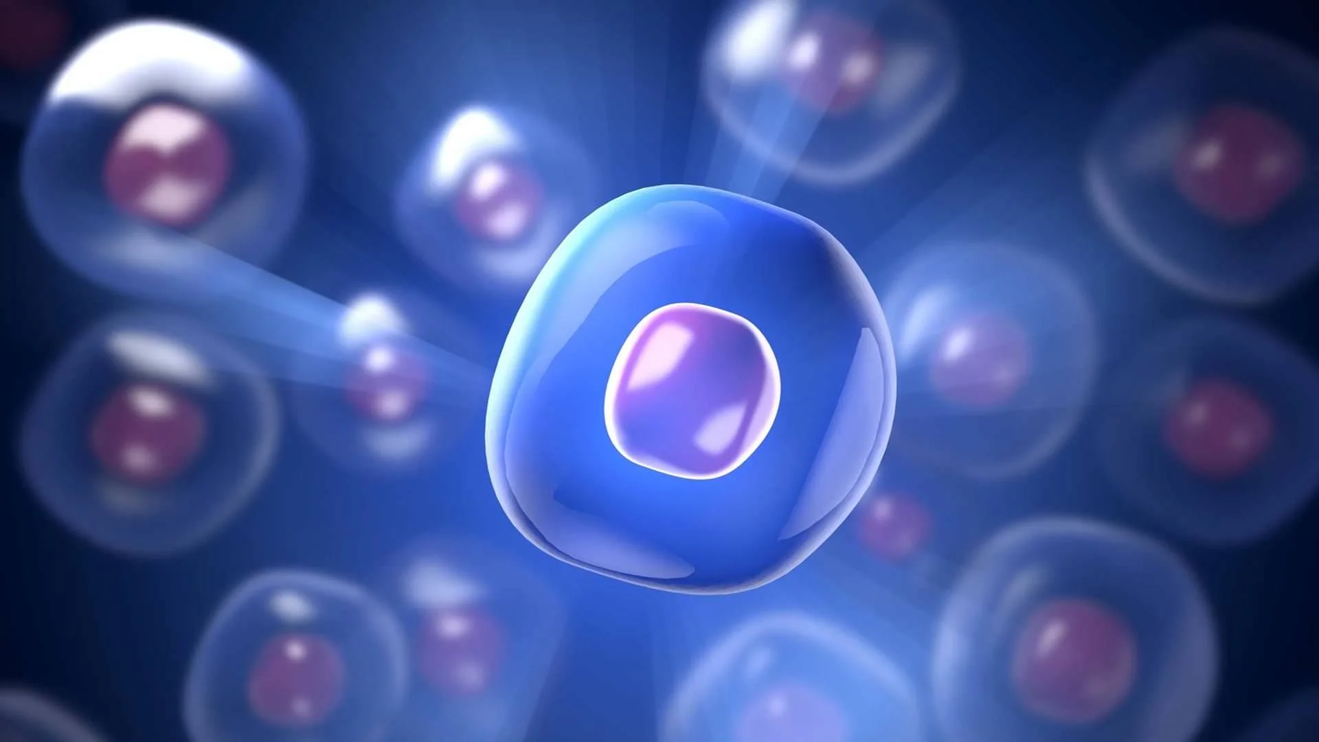 intermittent fasting healthy cell