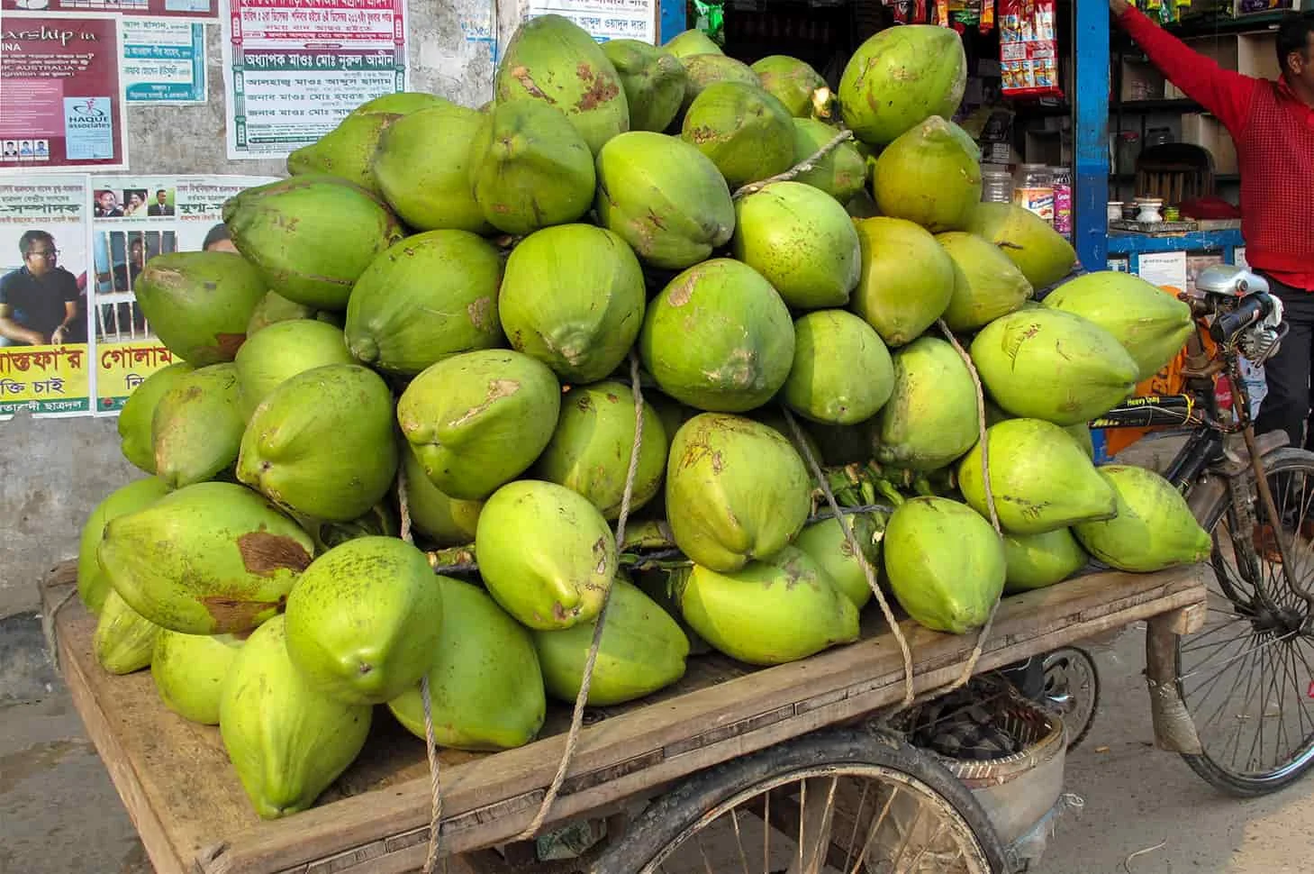 selling coconut husks