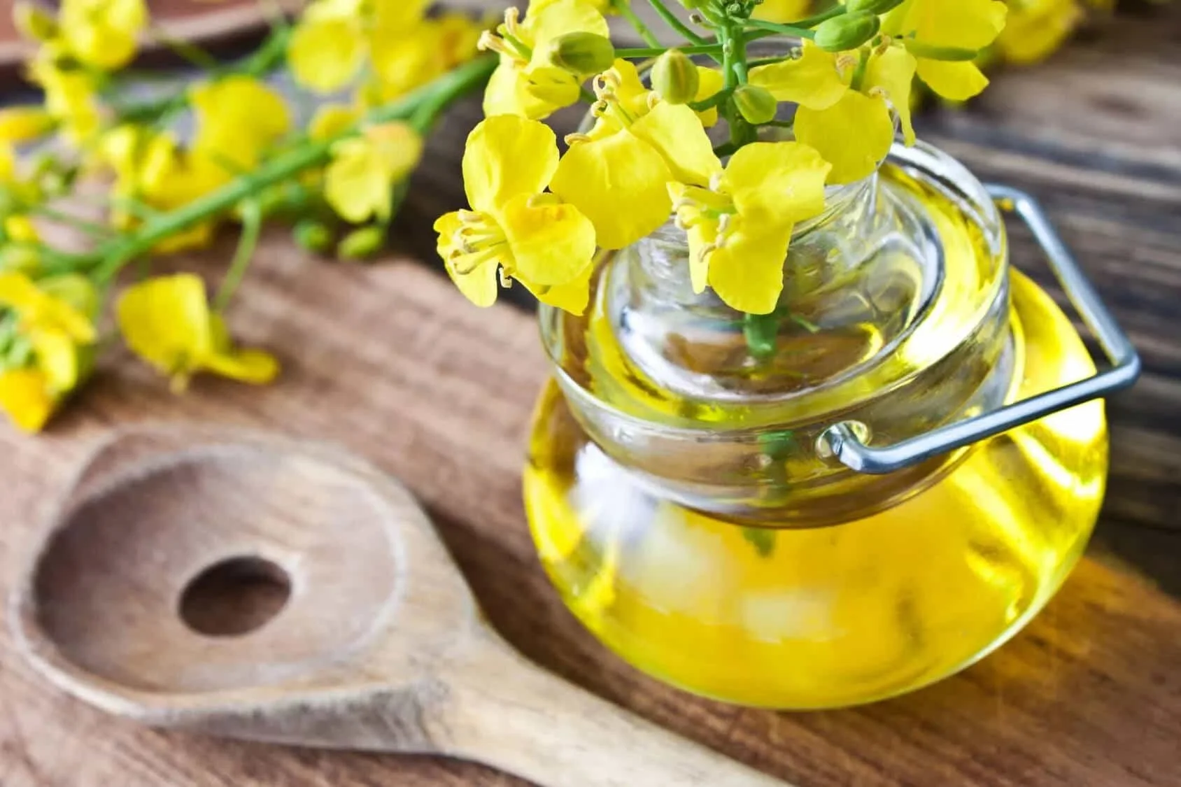 canola flowers in a jar