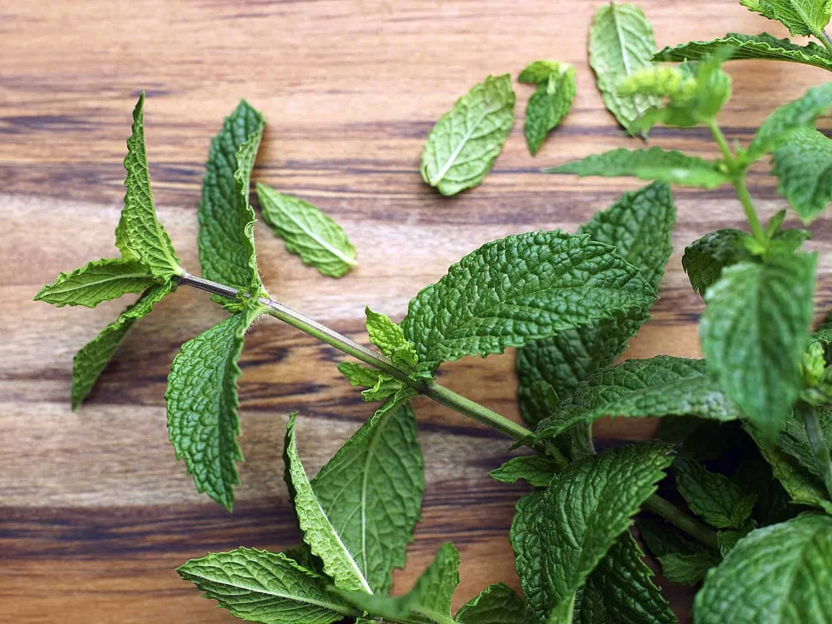 mint plants on cutting board