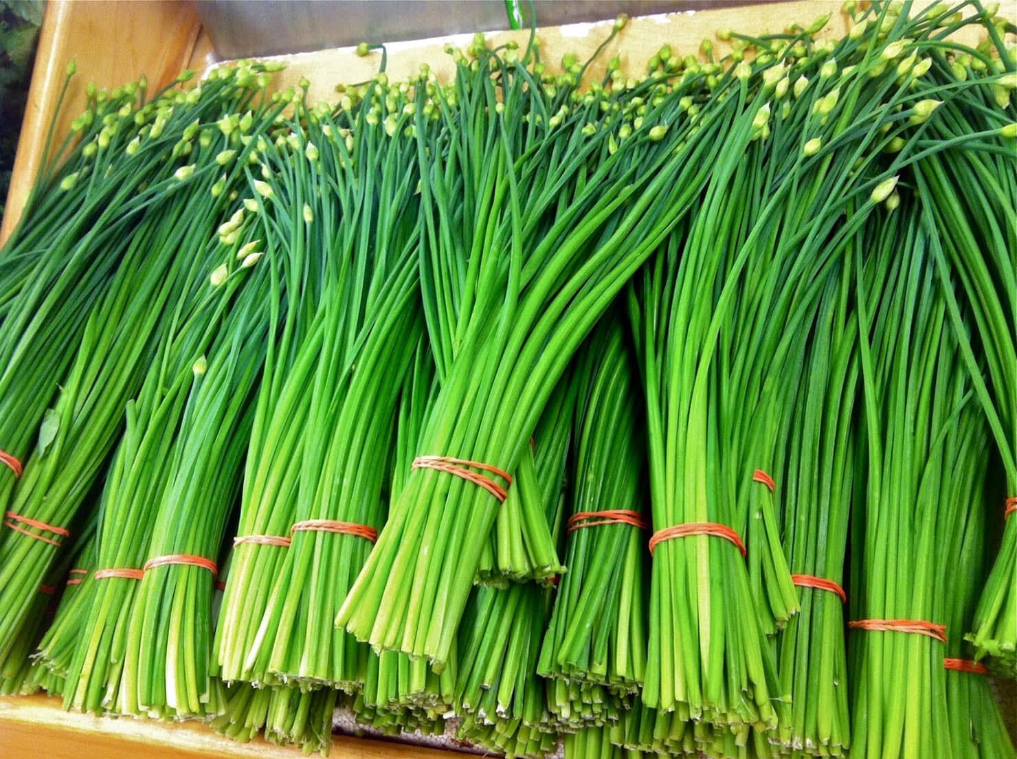 garlic chive plant bundles
