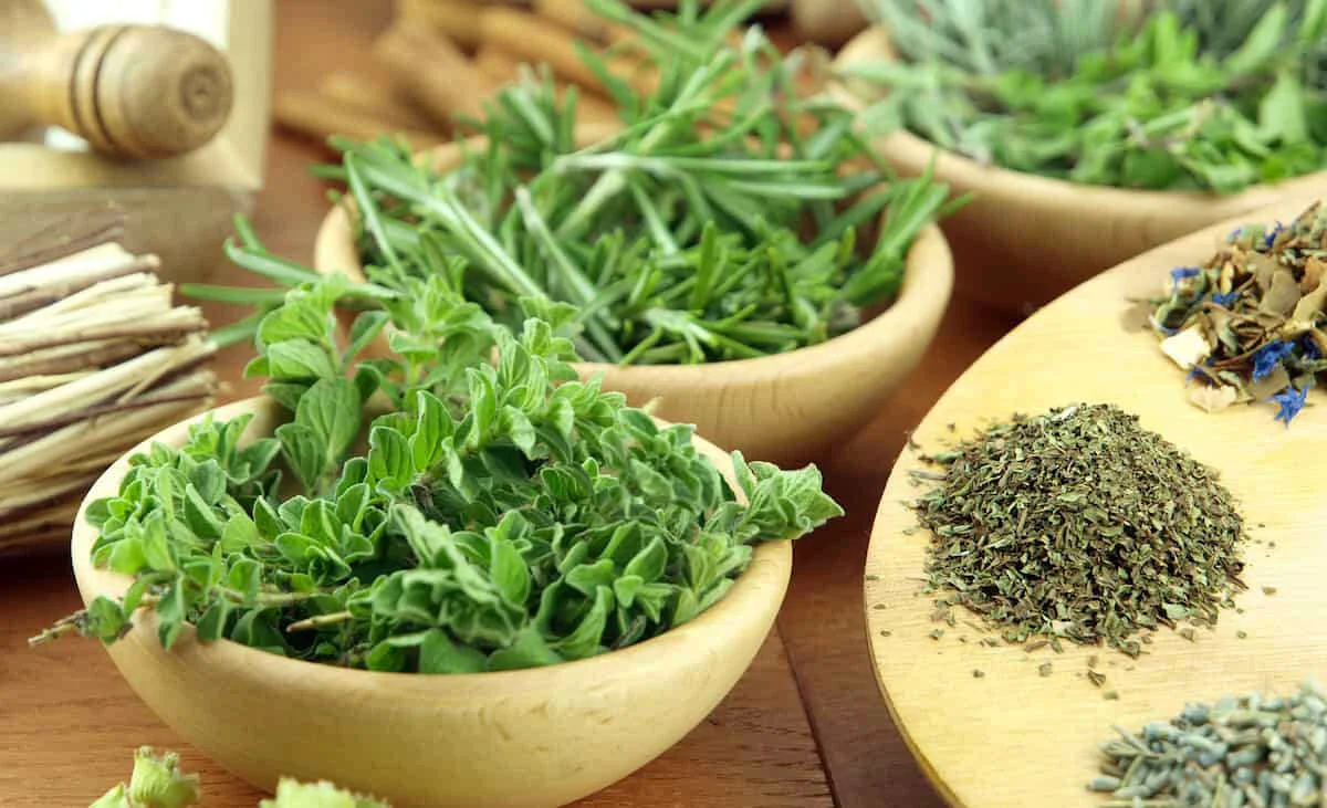 dried oregano and thyme in bowls