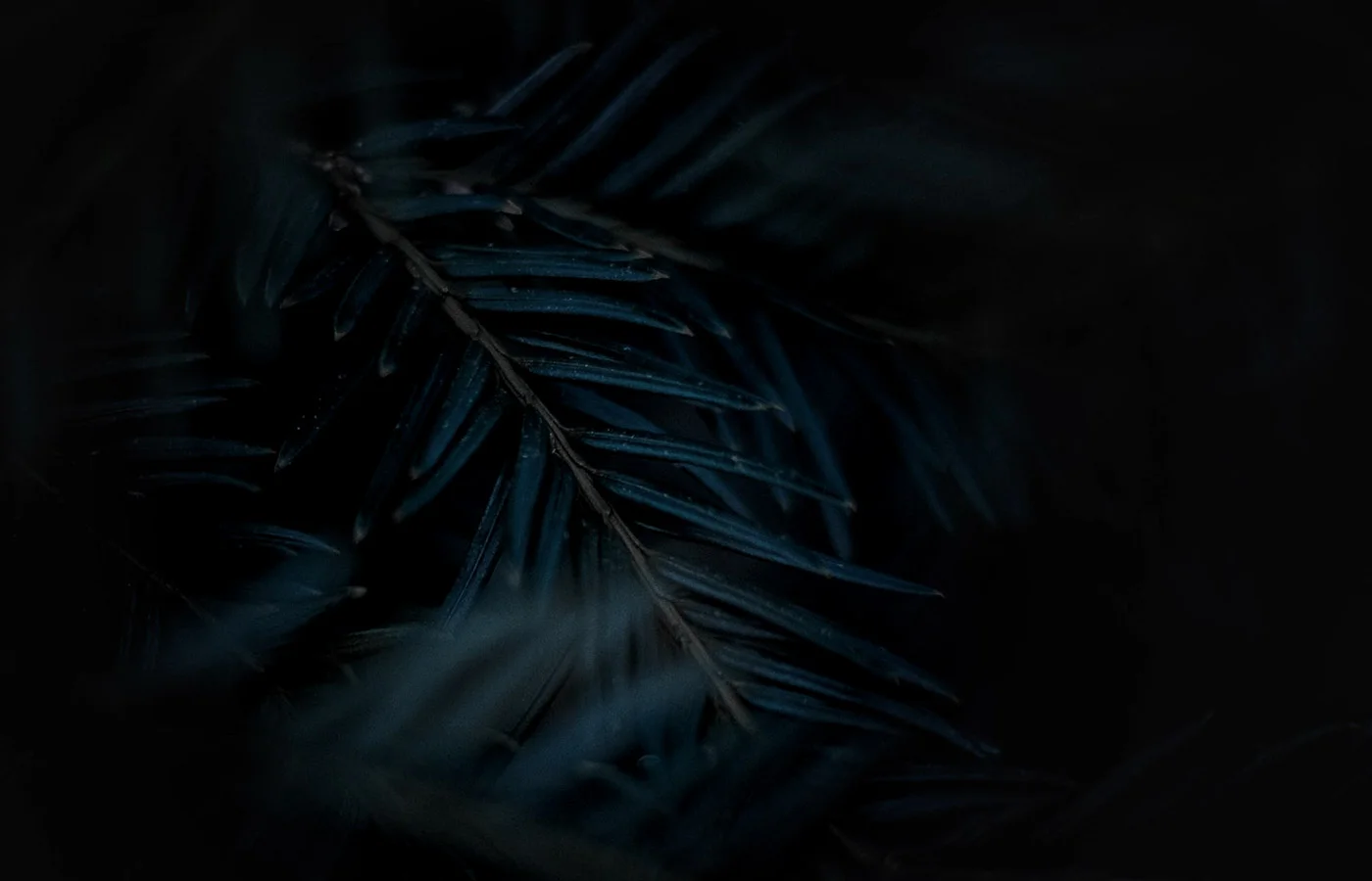 about-banner.jpg
